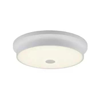 Настенно-потолочный светильник Citilux Фостер-2 CL706230