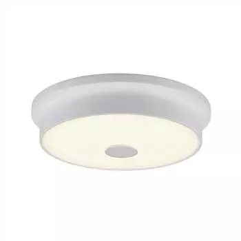 Настенно-потолочный светильник Citilux Фостер-2 CL706220