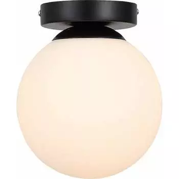 Настенно-потолочный светильник Evoluce SL717.401.01