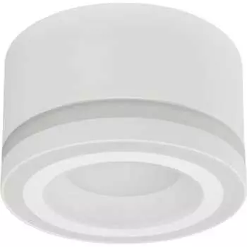 Настенно-потолочный светильник ЭРА Б0059804