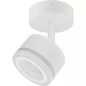 Настенно-потолочный светильник ЭРА Б0059806