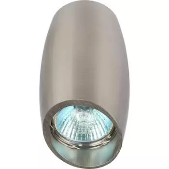 Настенно-потолочный светильник ЭРА Б0054391