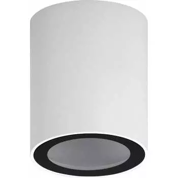 Настенно-потолочный светильник ЭРА Б0059799