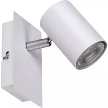 Настенно-потолочный светильник KANLUX evalo el-1i w-sr 35690