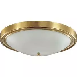 Настенно-потолочный светильник Lumion NINA 5259/4C