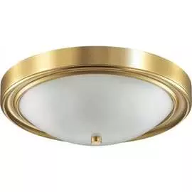 Настенно-потолочный светильник Lumion NINA 5259/3C