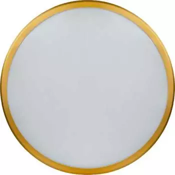 Настенно-потолочный светильник Navigator 80 500 nlf-c-014-02 80500