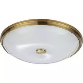 Настенно-потолочный светильник ODEON LIGHT PELOW 4956_5