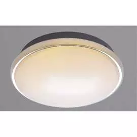 Настенно-потолочный светильник РОССВЕТ