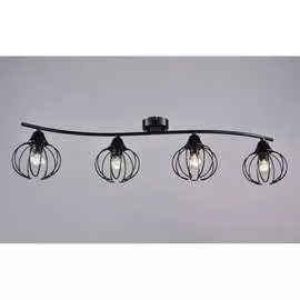 Настенно-потолочный светильник РОССВЕТ