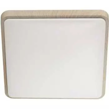 Настенно-потолочный светильник СОНЕКС