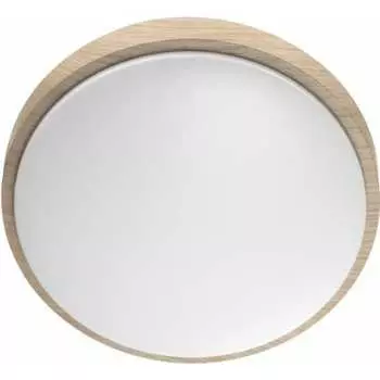 Настенно-потолочный светильник СОНЕКС LOSTA 7607_EL