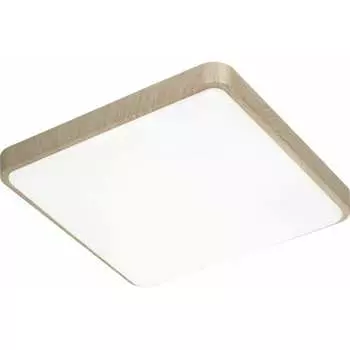 Настенно-потолочный светильник СОНЕКС