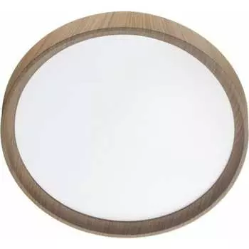 Настенно-потолочный светильник СОНЕКС