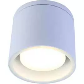 Настенно-потолочный светильник-спот ЭРА WL40 WH Б0054415