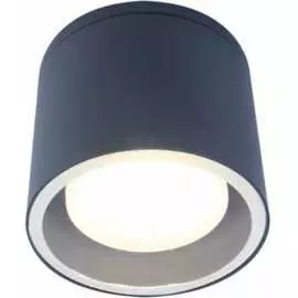 Настенно-потолочный светильник-спот ЭРА WL40 GR Б0054416