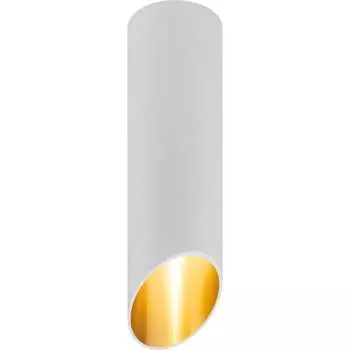 Настеннопотолочный спот светильник ЭРА Б0055578