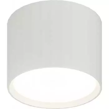 Настеннопотолочный спот светильник ЭРА Б0056389