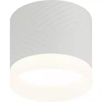 Настеннопотолочный спот светильник ЭРА Б0056387