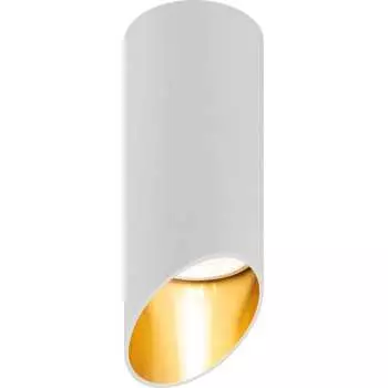 Настеннопотолочный спот светильник ЭРА Б0055576