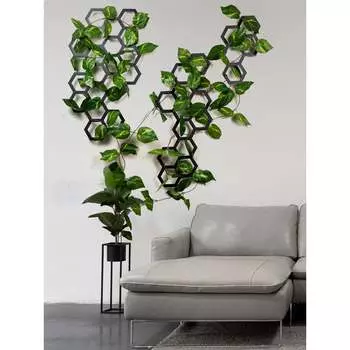 Настенный модуль для лиан и вьючных растений ООО СКП СД-07С