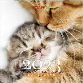 Настенный перекидной календарь Staff