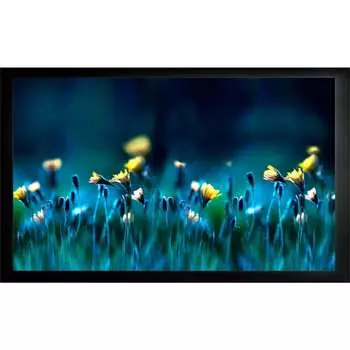 Настенный рулонный экран Cactus FrameExpert 16:09 1070207