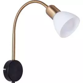 Настенный светильник ARTE LAMP A3116AP-1BK