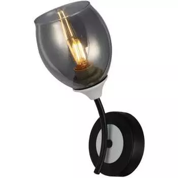 Настенный светильник (бра) Freya Mystic FR5227WL-01B