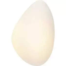 Настенный светильник-бра MAYTONI