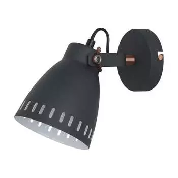 Настенный светильник Camelion WML-428-1 С02 New York 13057