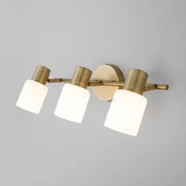 Настенный светильник Eurosvet 20089/3 a049415