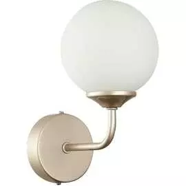 Настенный светильник ST luce REDJINO SLE106201-01