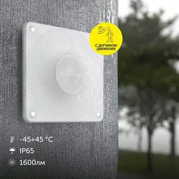 Настенный уличный влагостойкий вандалоустойчивый светодиодный светильник для сада и дачи Geniled 8221 08221