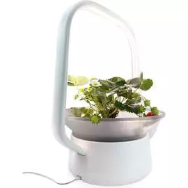 Настольная садовая ферма Vegebox V-Basket Vbasket-G