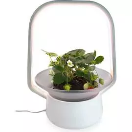 Настольная садовая ферма Vegebox V-Basket Vbasket-W