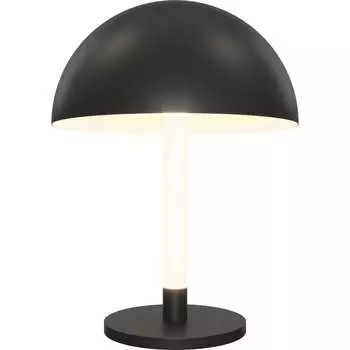 Настольный светильник MAYTONI Ray Z012TL-L8B3K