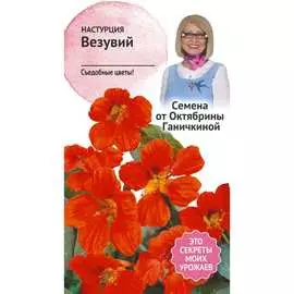 Настурция семена ОКТЯБРИНА ГАНИЧКИНА