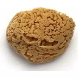 Натуральная морская губка PAVAN 3120 S0112503