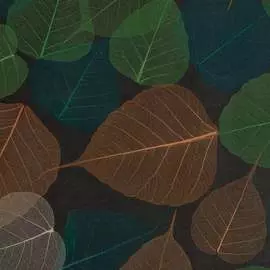 Натуральные обои Cosca Decor Листья Прима Верде СПБ003104