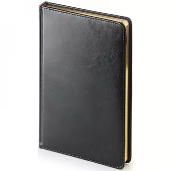 Недатированный ежедневник Альт