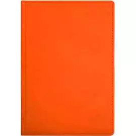 Недатированный ежедневник Attache