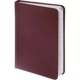 Недатированный ежедневник Attache