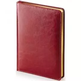 Недатированный ежедневник Attache