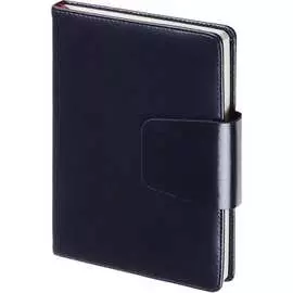 Недатированный ежедневник Bruno Visconti