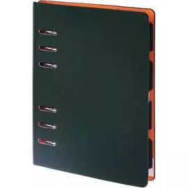 Недатированный ежедневник Bruno Visconti