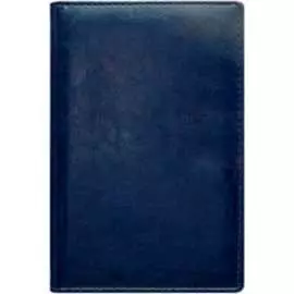 Недатированный ежедневник INFORMAT