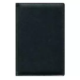 Недатированный ежедневник INFORMAT