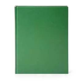 Недатированный ежедневник LITE