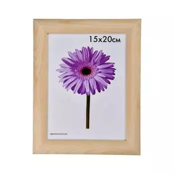 Некрашеная деревянная рамка ООО Изометрика Berta 0006-4-0000